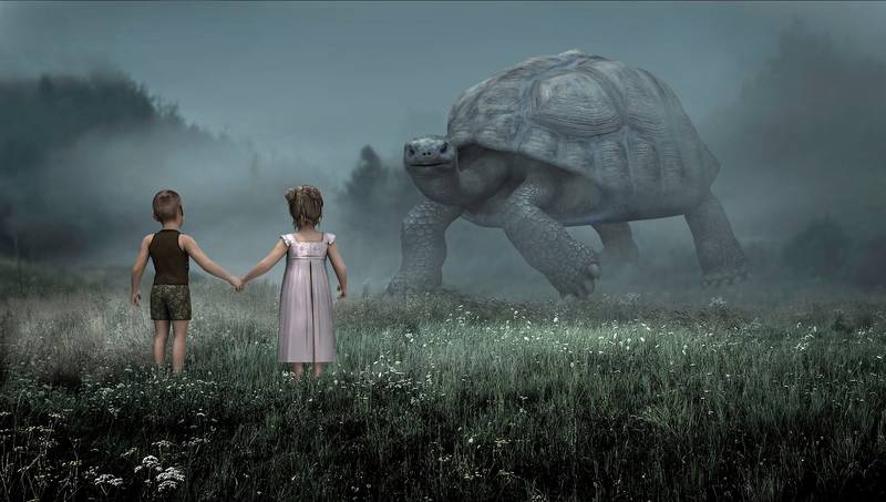 Selección de libros de animales para niños de 3 a 6 años